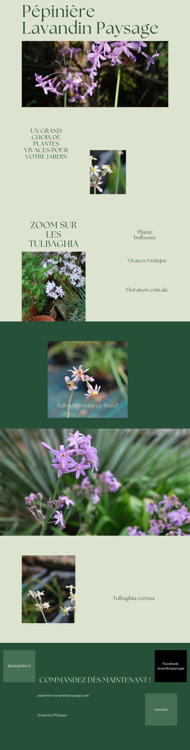 Blog pépinière juillet 2025