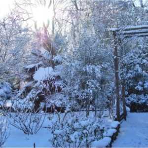 Quelques nouvelles de la pépinière Lavandin Paysage cet hiver 2026