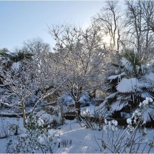 Quelques nouvelles de la pépinière Lavandin Paysage cet hiver 2026