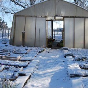 Quelques nouvelles de la pépinière Lavandin Paysage cet hiver 2026 