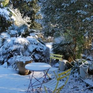 Quelques nouvelles de la pépinière Lavandin Paysage cet hiver 2026